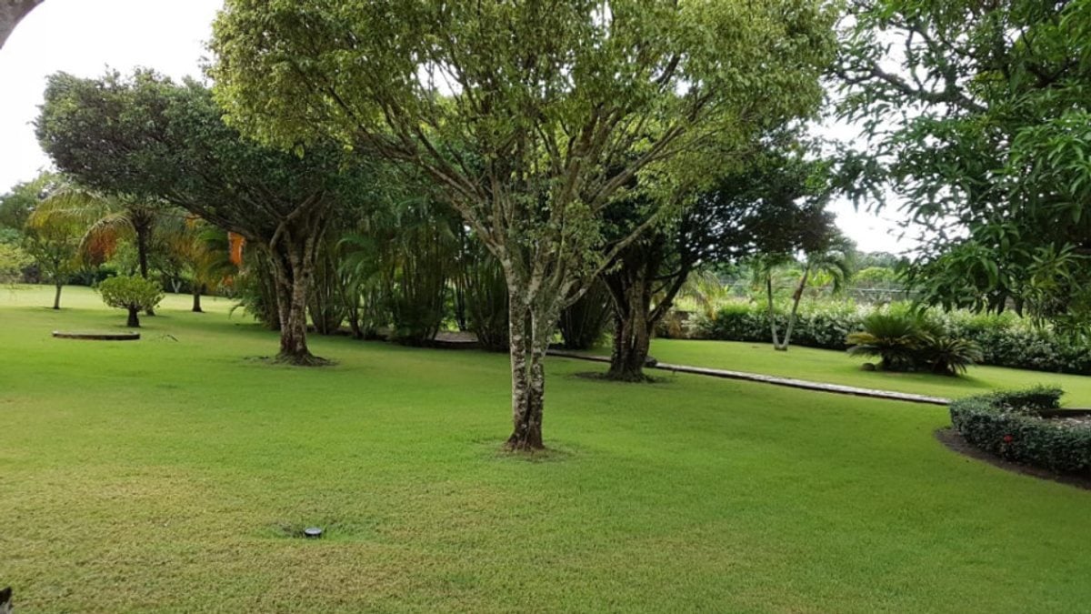 Terreno en San Antonio de Guerra, 48289 m² – foto 4