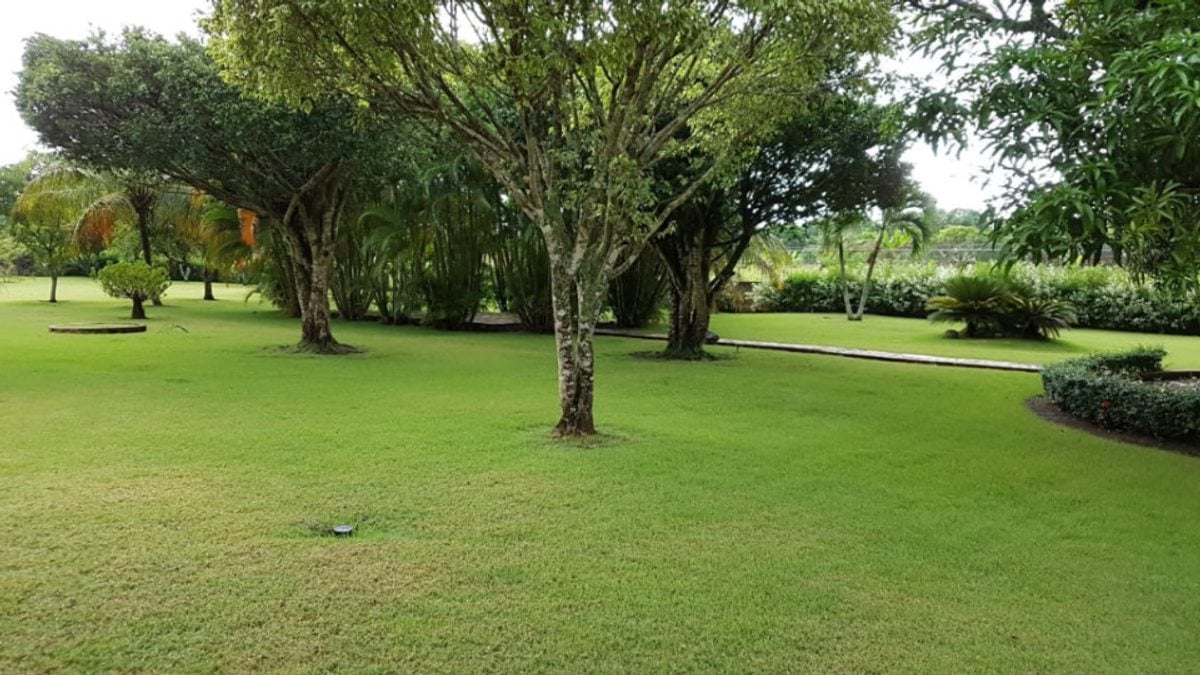 Terreno en San Antonio de Guerra, 48289 m² – foto 5