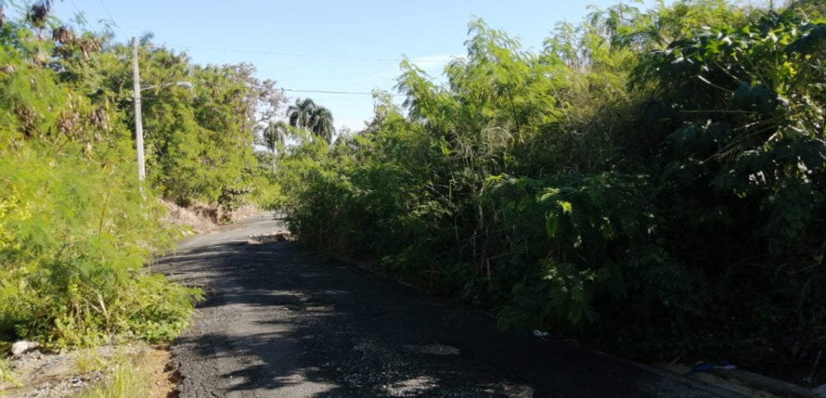 Terreno En Pantoja, Los Alcarrizos – foto 2
