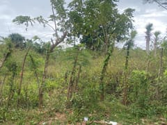 Terreno en venta en Cabrera, Catalina Abajo, 650 m² – foto 4