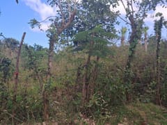 Terreno en venta en Cabrera, Catalina Abajo, 650 m² – foto 5