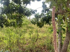 Terreno en venta en Cabrera, Catalina Abajo, 650 m² – foto 3