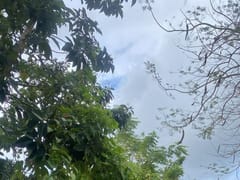Terreno en venta en Cabrera, Catalina Abajo, 650 m² – foto 2