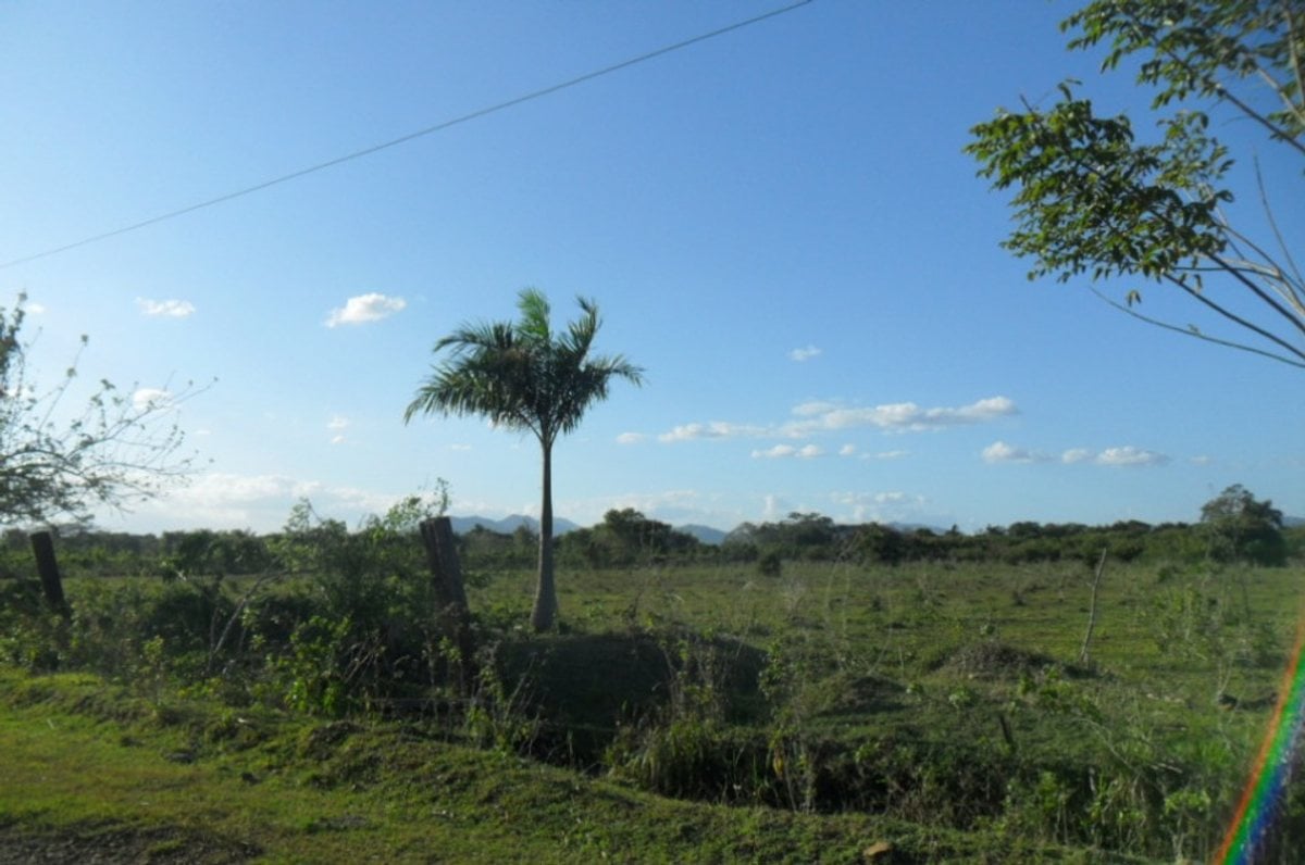 Terreno En Yacó, Pedro Brand – foto 3