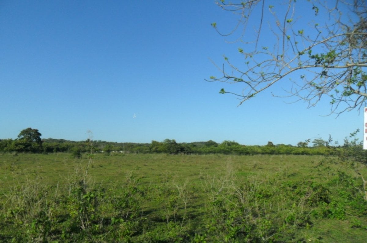 Terreno En Yacó, Pedro Brand – foto 2