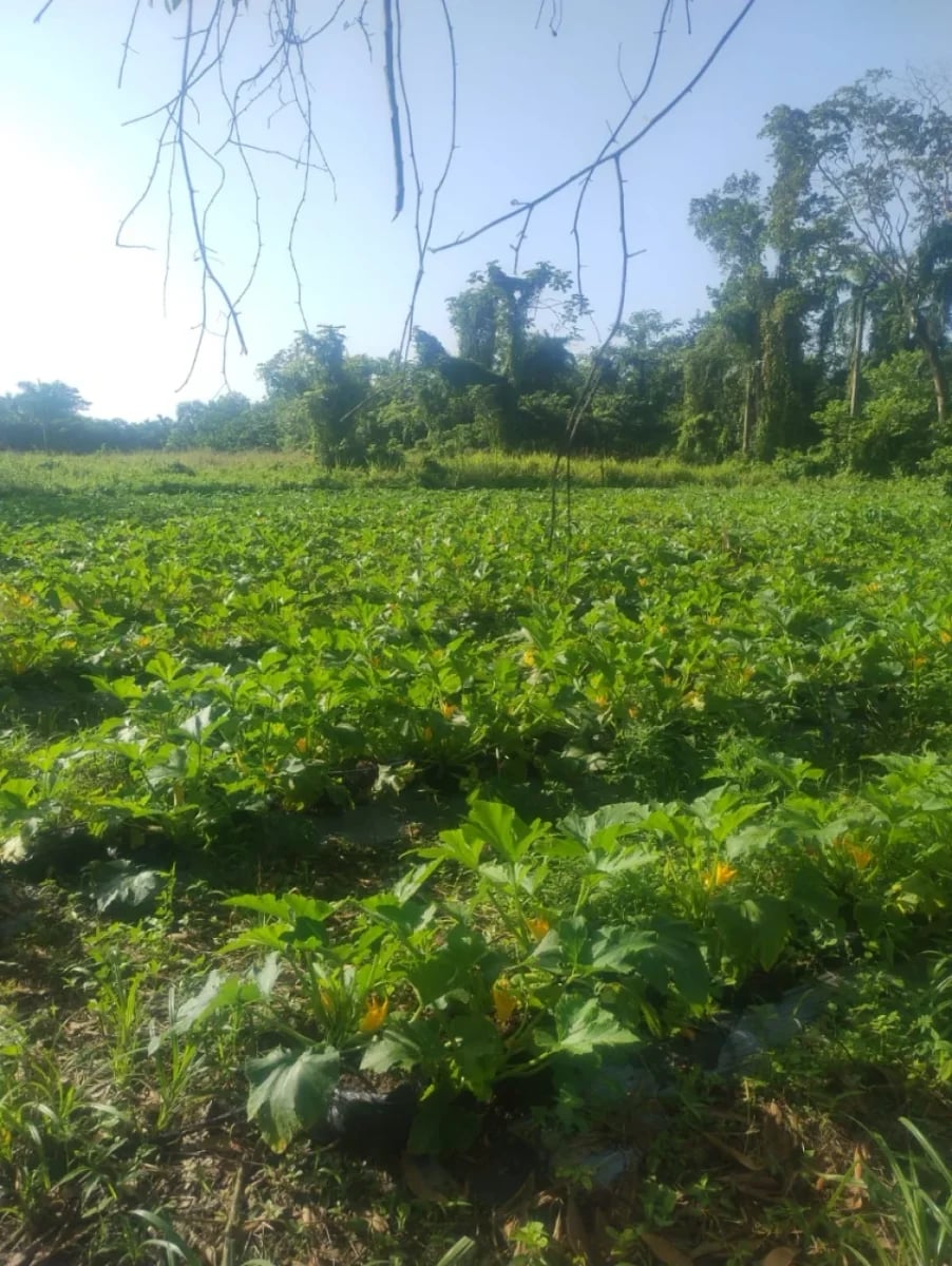 Terreno en venta en Santo Domingo Este – foto 1