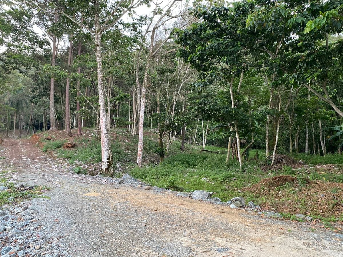 Terreno En Mata De Plátano, Jarabacoa – foto 8