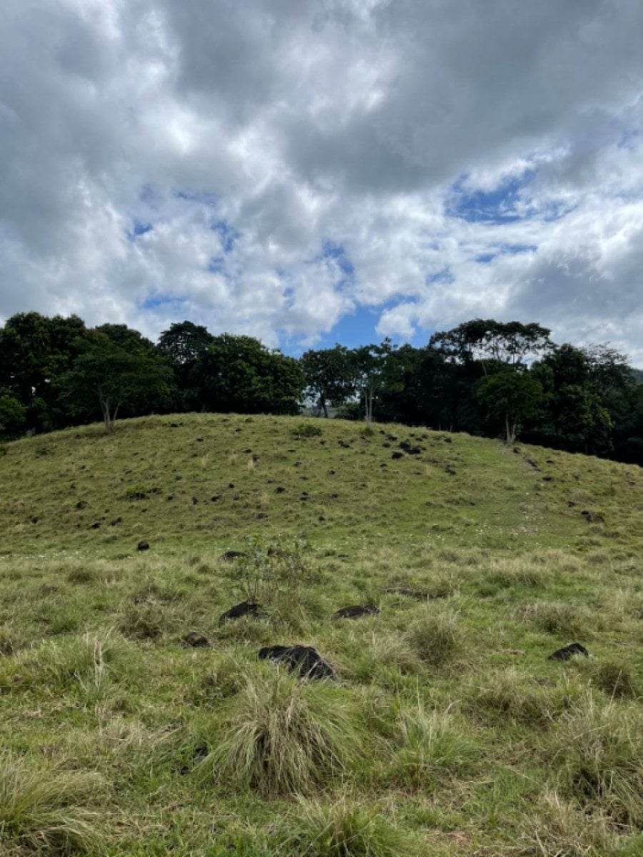 Terreno de 969.34 m² en Bejuco Aplastado, Bonao – foto 5