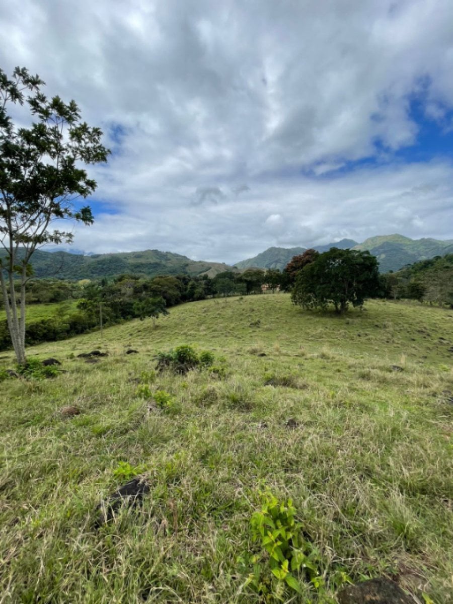 Terreno de 969.34 m² en Bejuco Aplastado, Bonao – foto 4