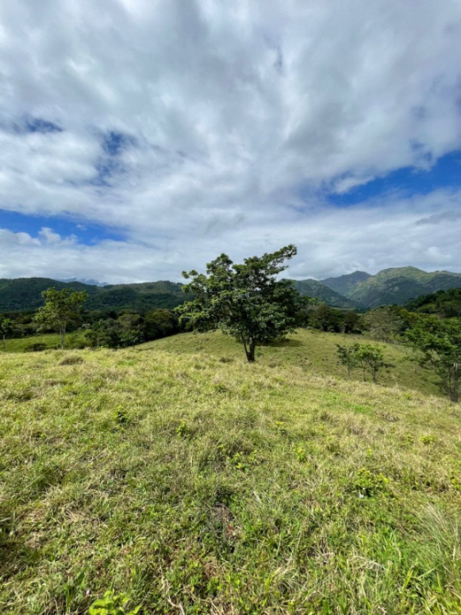 Terreno de 969.34 m² en Bejuco Aplastado, Bonao – foto 3