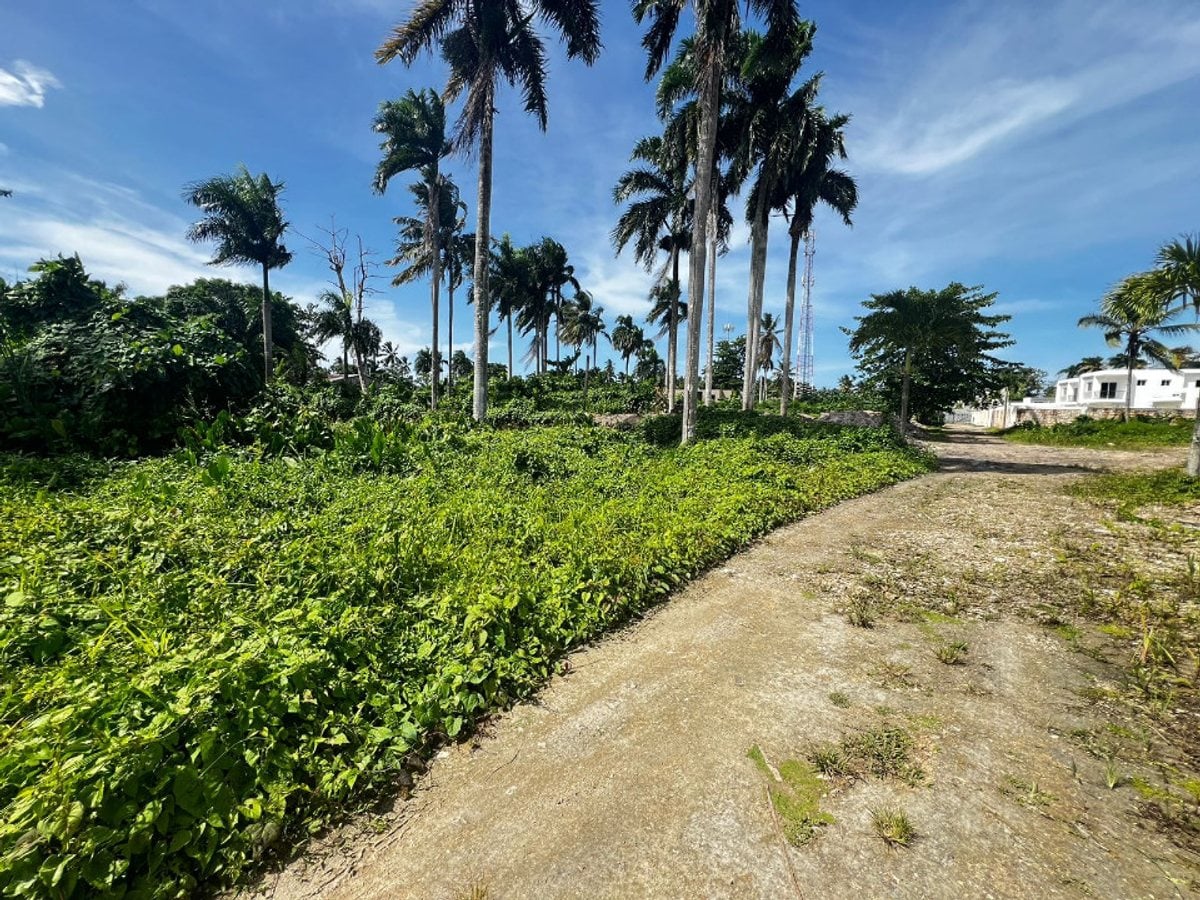 Terreno en Samaná Las Terrenas, Los Pescadores – foto 2