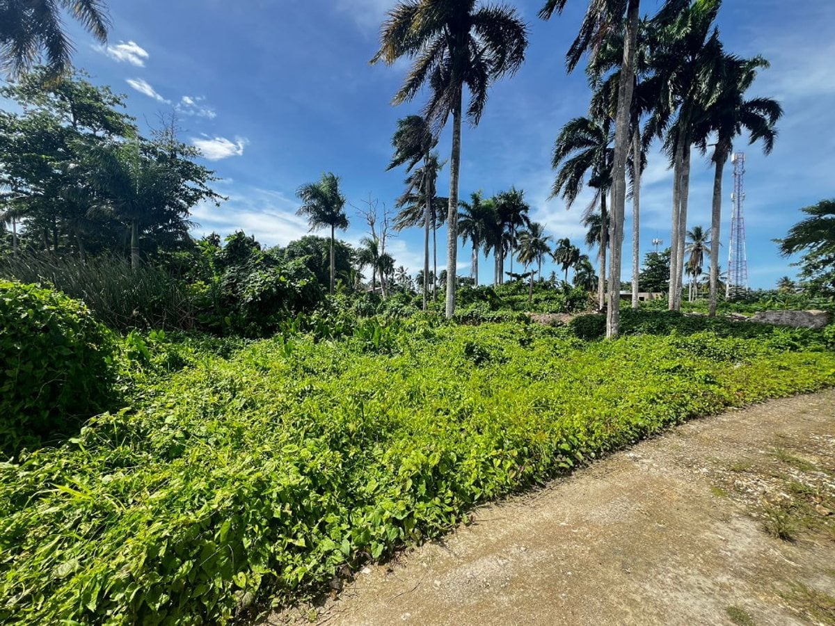 Terreno en Samaná Las Terrenas, Los Pescadores – foto 3