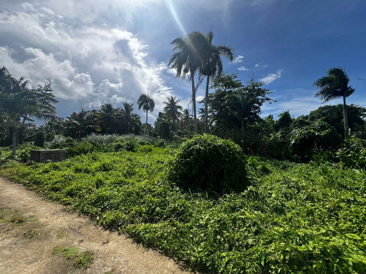 Terreno en Samaná Las Terrenas, Los Pescadores – foto 4