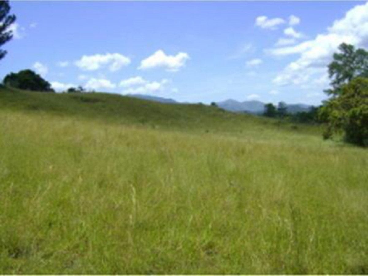 Terreno En Pedregal, San José De Las Matas – foto 3