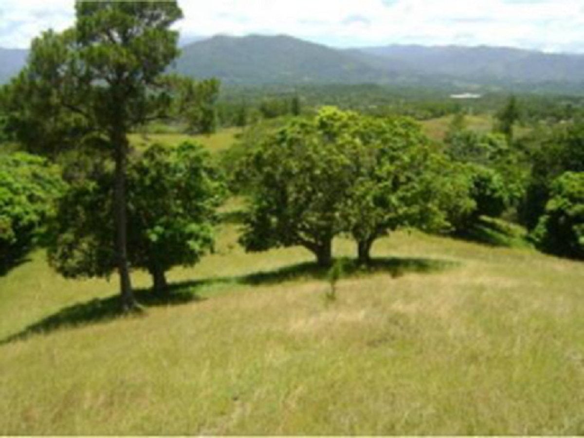 Terreno En Pedregal, San José De Las Matas – foto 2
