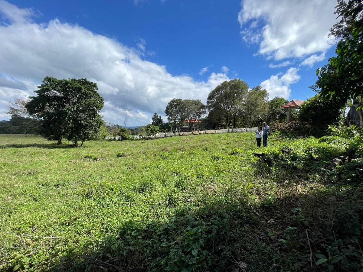 Terreno de 10,518 m² en Bejuco Aplastado, Bonao – foto 3