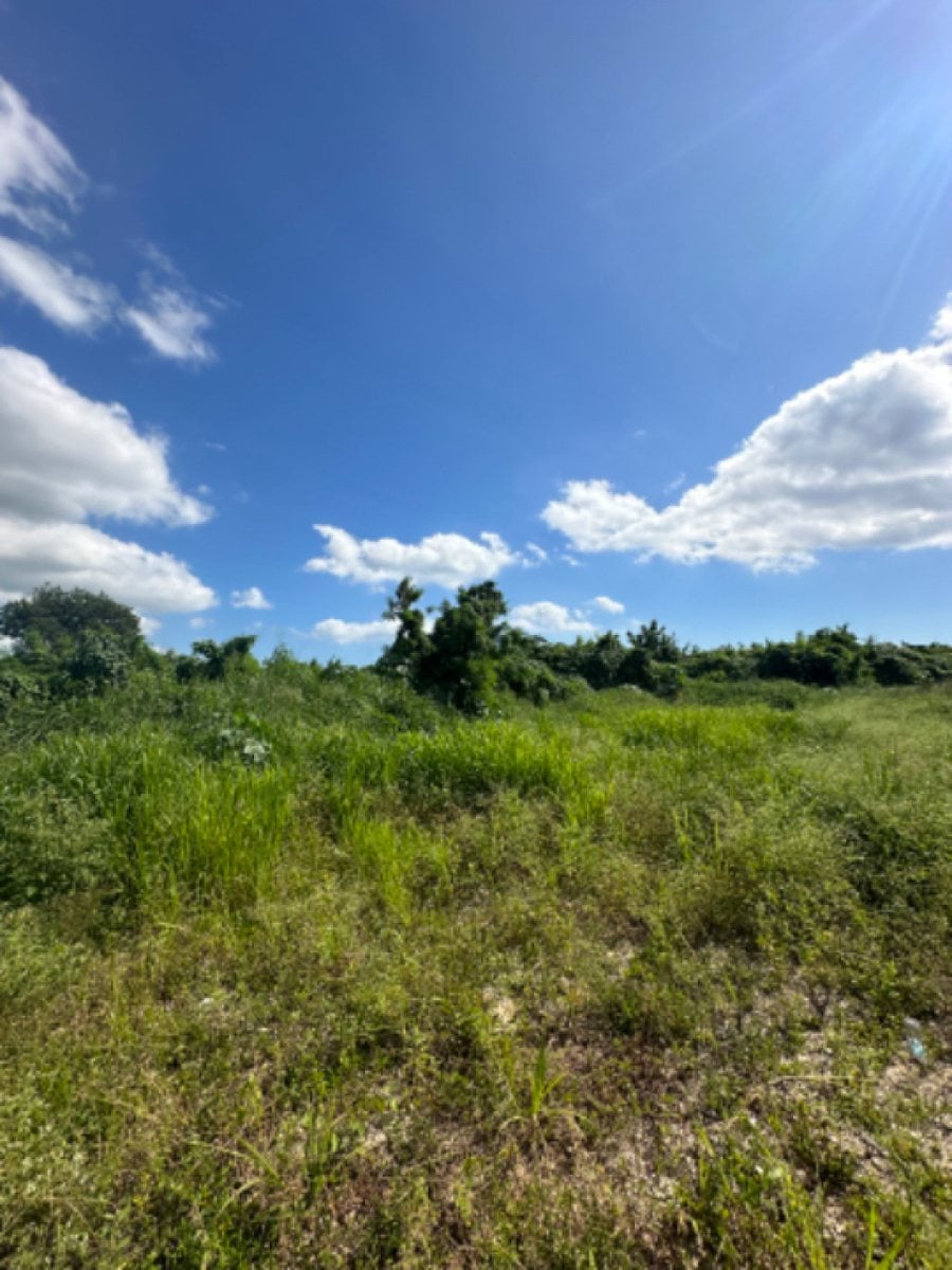 Terreno en Metro Country Club, San Pedro – foto 2