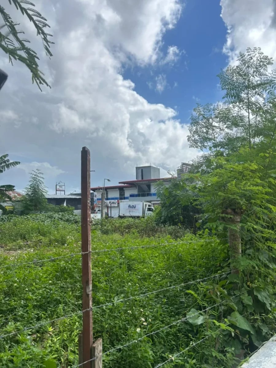 TERRENO EN LA GUAYIGA – foto 2
