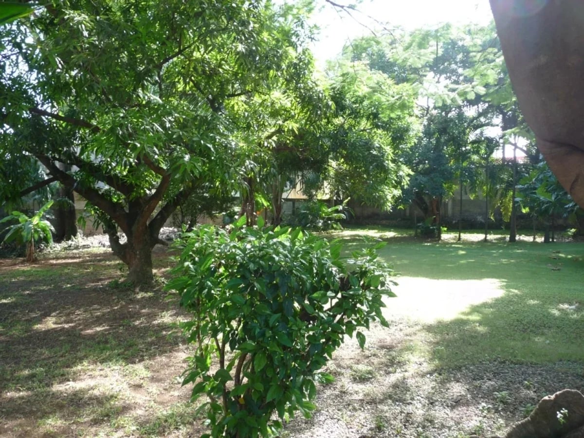 Terreno en La Esperilla, Santo Domingo – foto 2