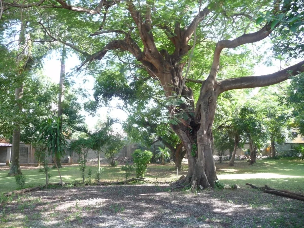 Terreno en La Esperilla, Santo Domingo – foto 5