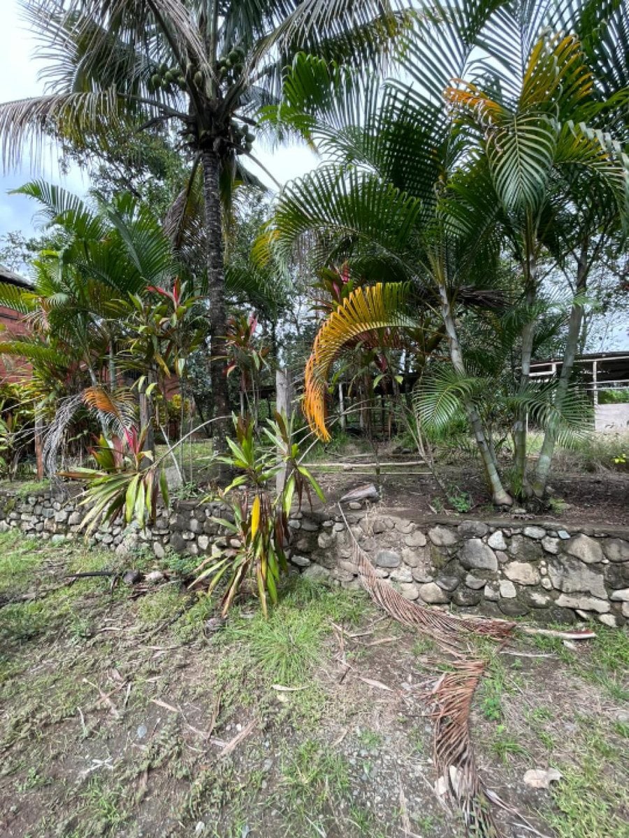 Terreno en Venta en Los Pedregones, Bonao – foto 2