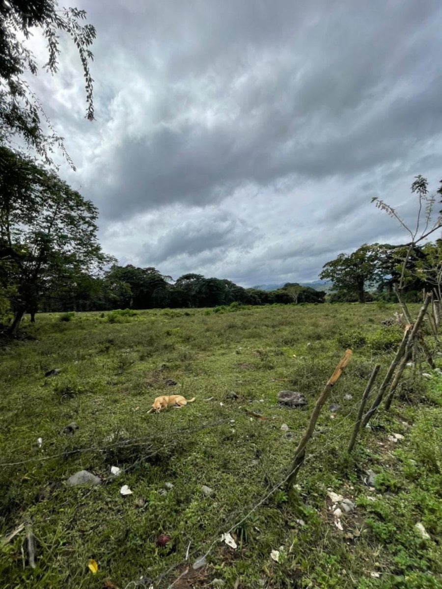 Terreno en Venta en Los Pedregones, Bonao – foto 3