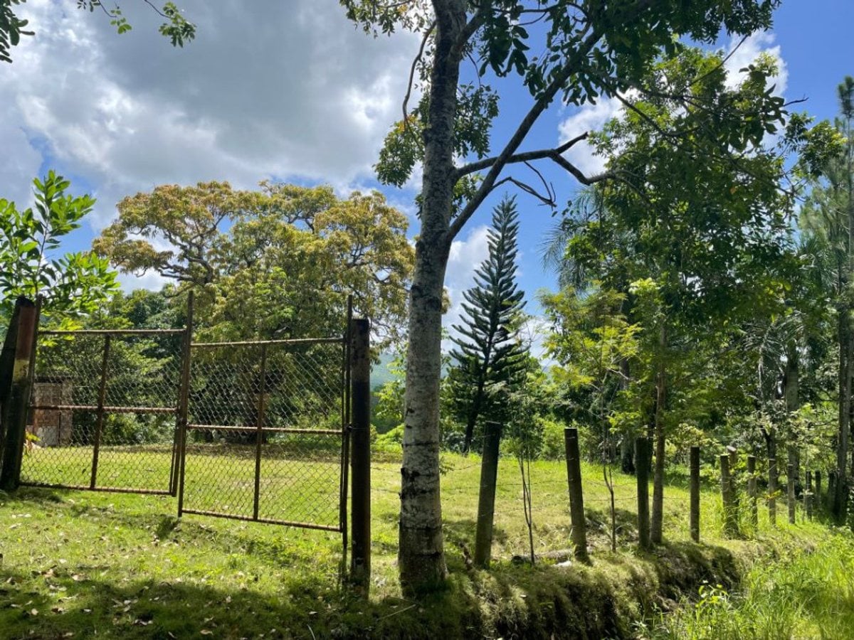 SOLAR DE VENTA EN COLINAS DE MINA VILLA ALTAGRACIA – foto 4