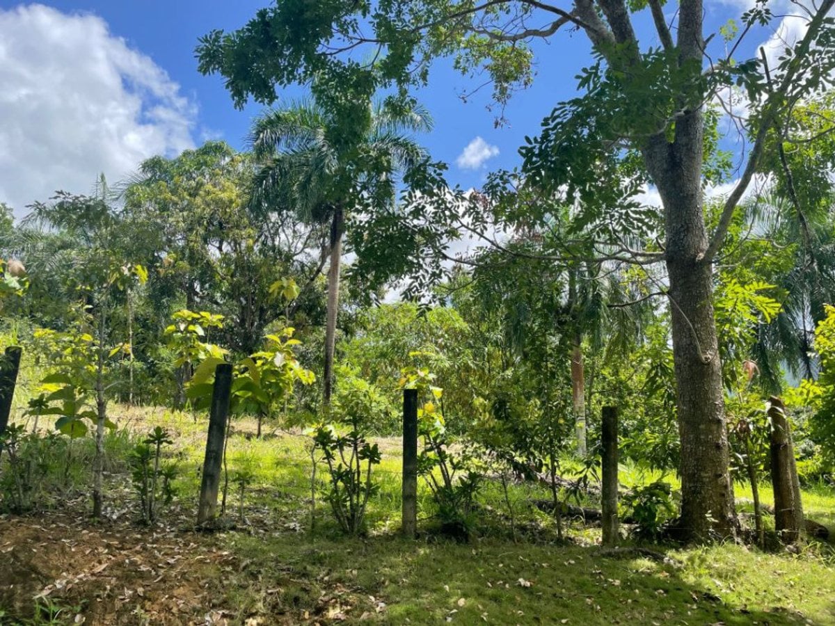 SOLAR DE VENTA EN COLINAS DE MINA VILLA ALTAGRACIA – foto 1