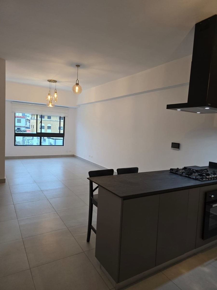 Apartamento en Enzanche Naco para alquiler – foto 4