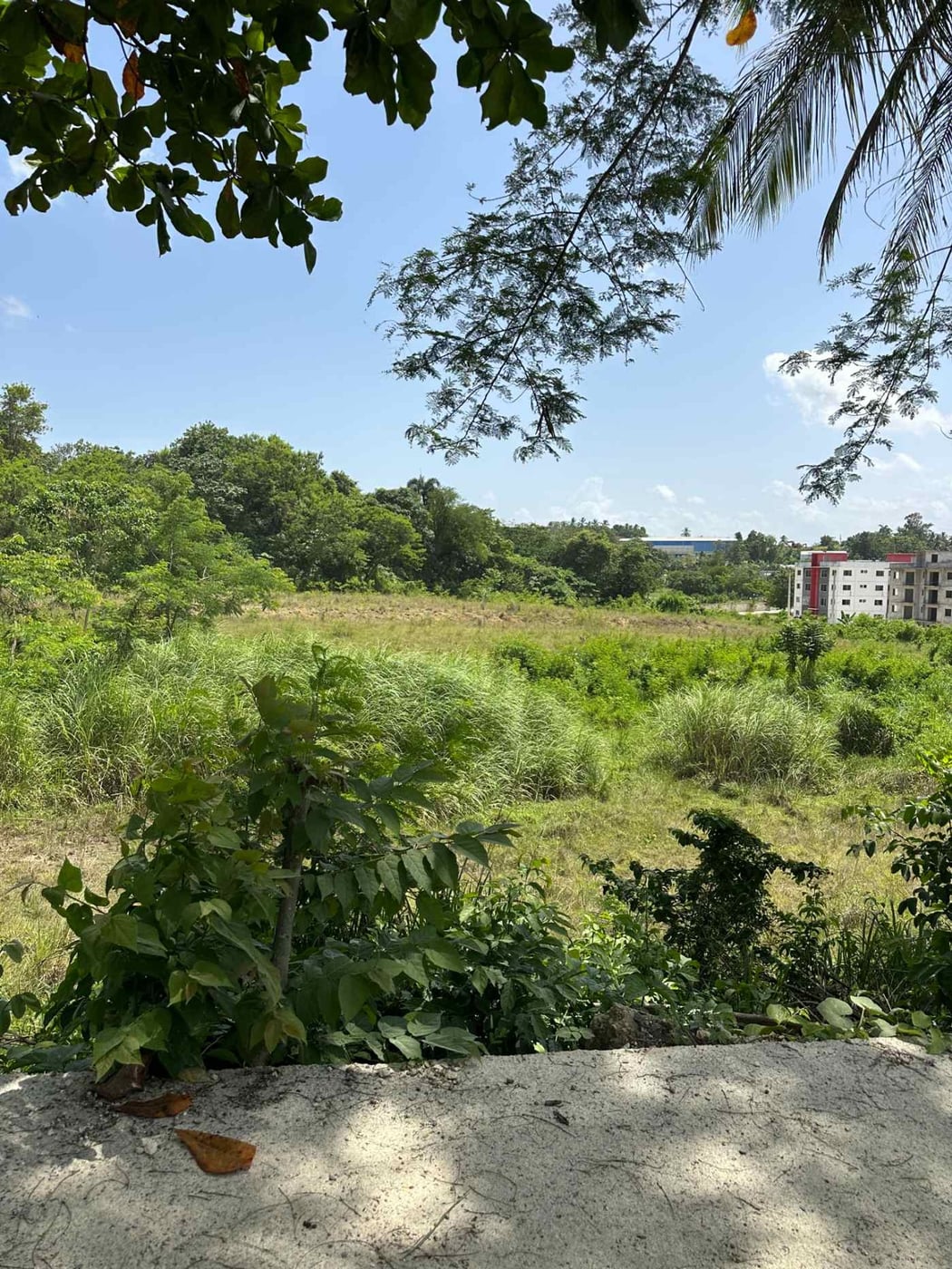 Terreno en Cerros de Palmarejo Km. 17 Aut. Duarte – foto 5