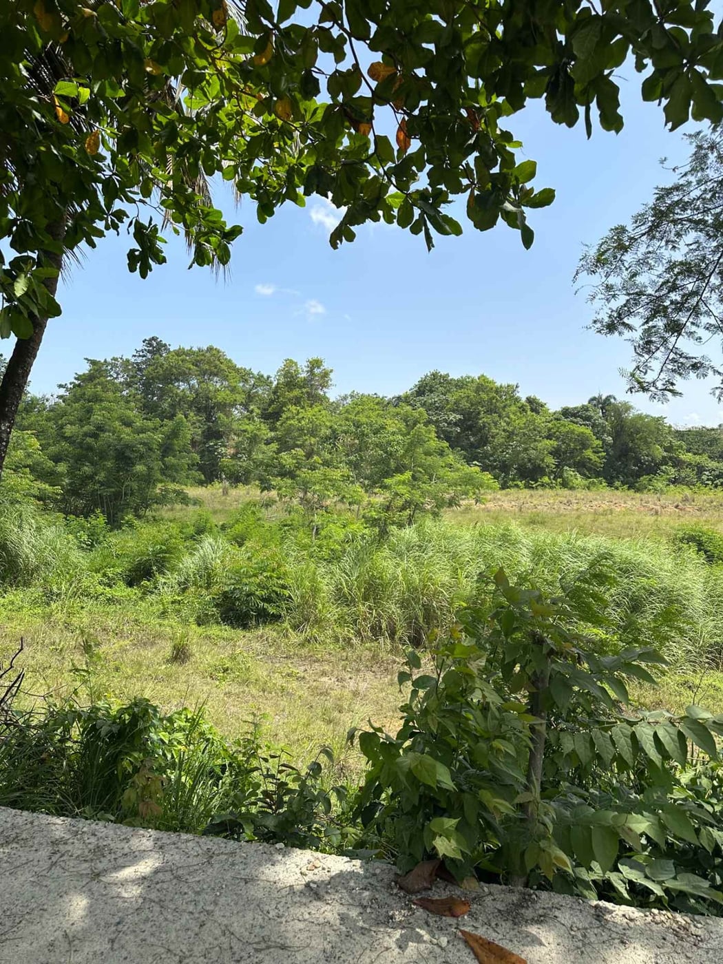 Terreno en Cerros de Palmarejo Km. 17 Aut. Duarte – foto 4