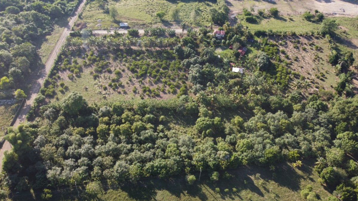 Terreno en venta en La Penca, Pedro Brand – foto 8