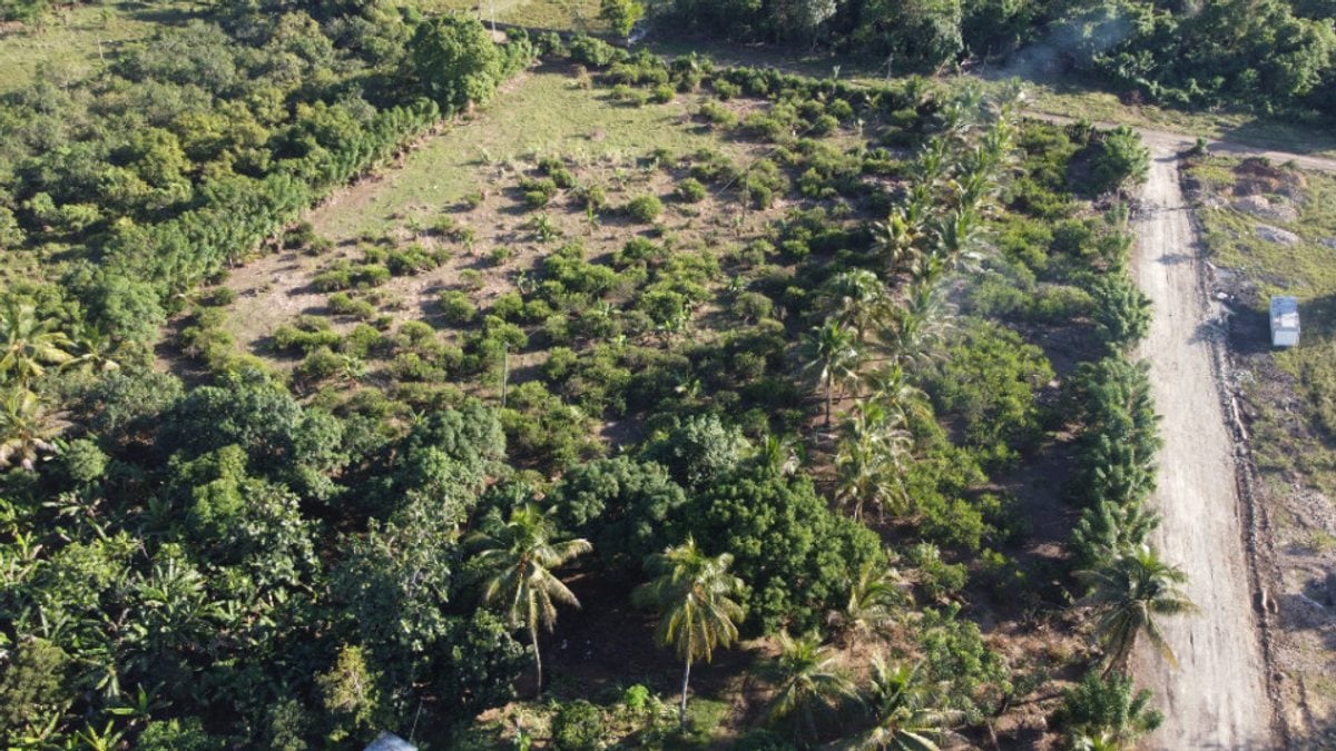 Terreno en venta en La Penca, Pedro Brand – foto 9