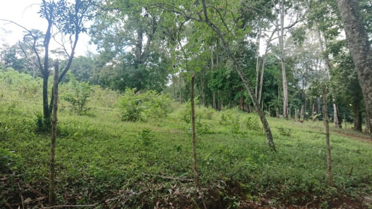 Terreno En La Quebrada, Jarabacoa – foto 3