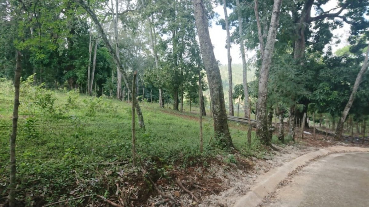 Terreno En La Quebrada, Jarabacoa – foto 2