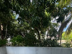 Apartamento en venta en Gazcue – foto 6