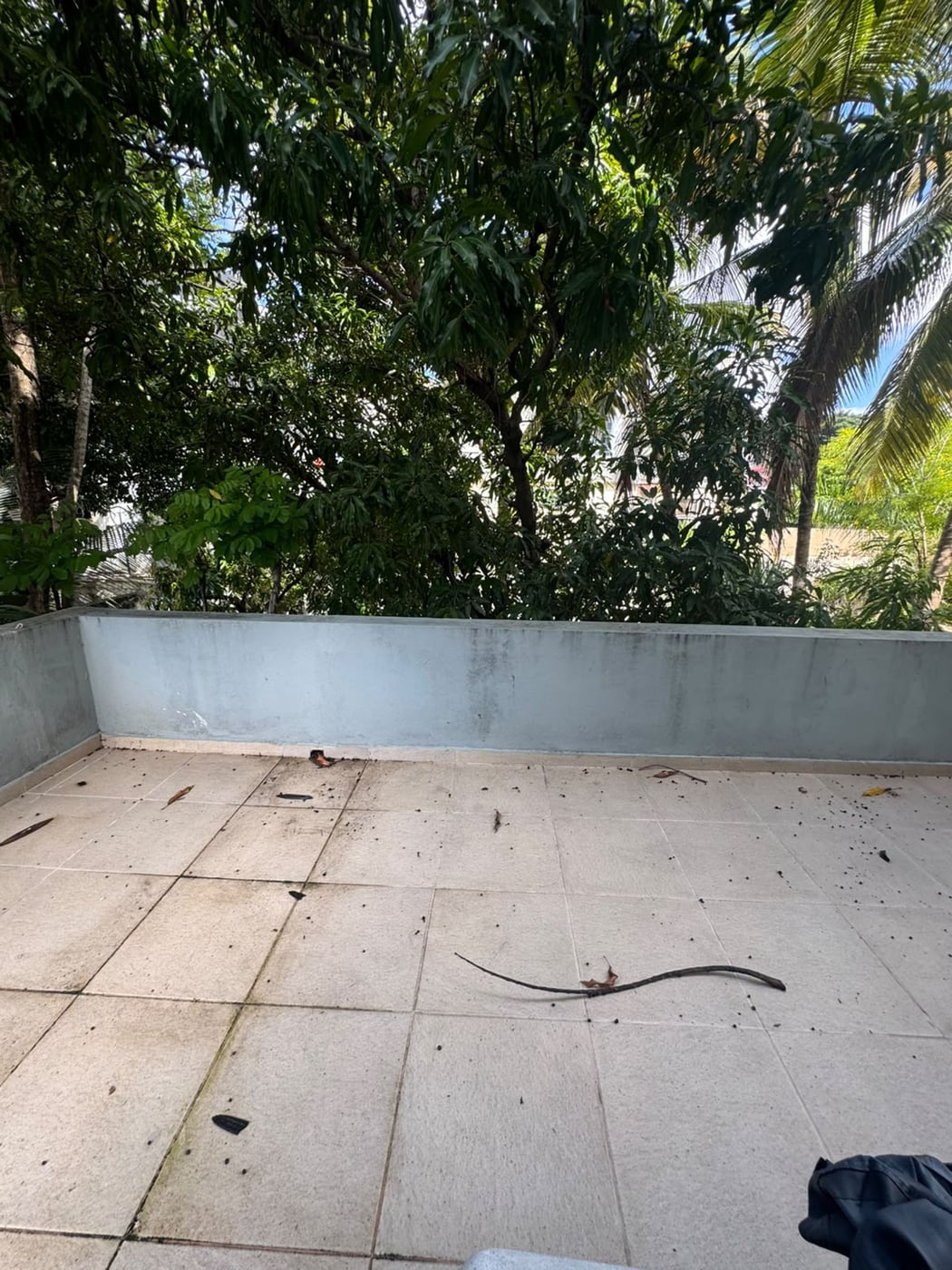 APARTAMENTO EN VENTA EN GAZCUE – foto 6