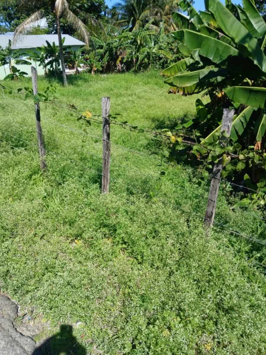 Terreno en venta en Cabrera, Abreu – foto 5