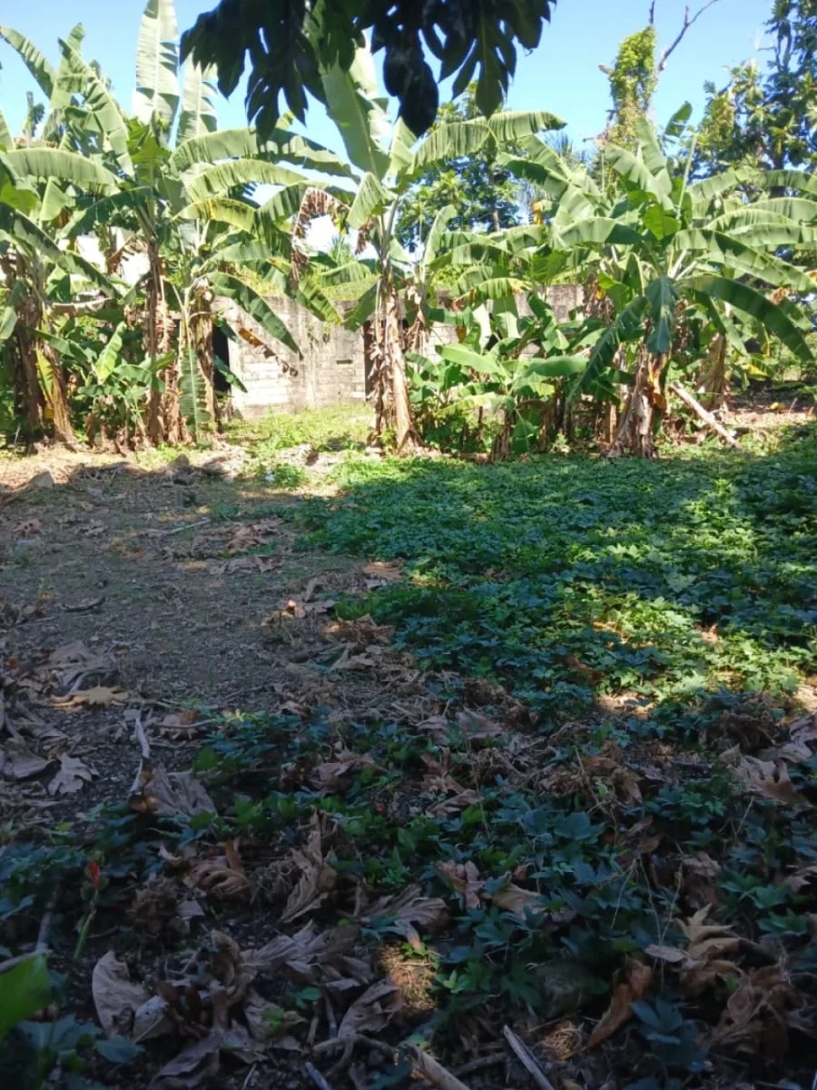 Terreno en venta en Cabrera, Abreu – foto 2