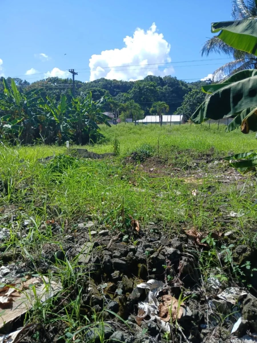Terreno en venta en Cabrera, Abreu – foto 1