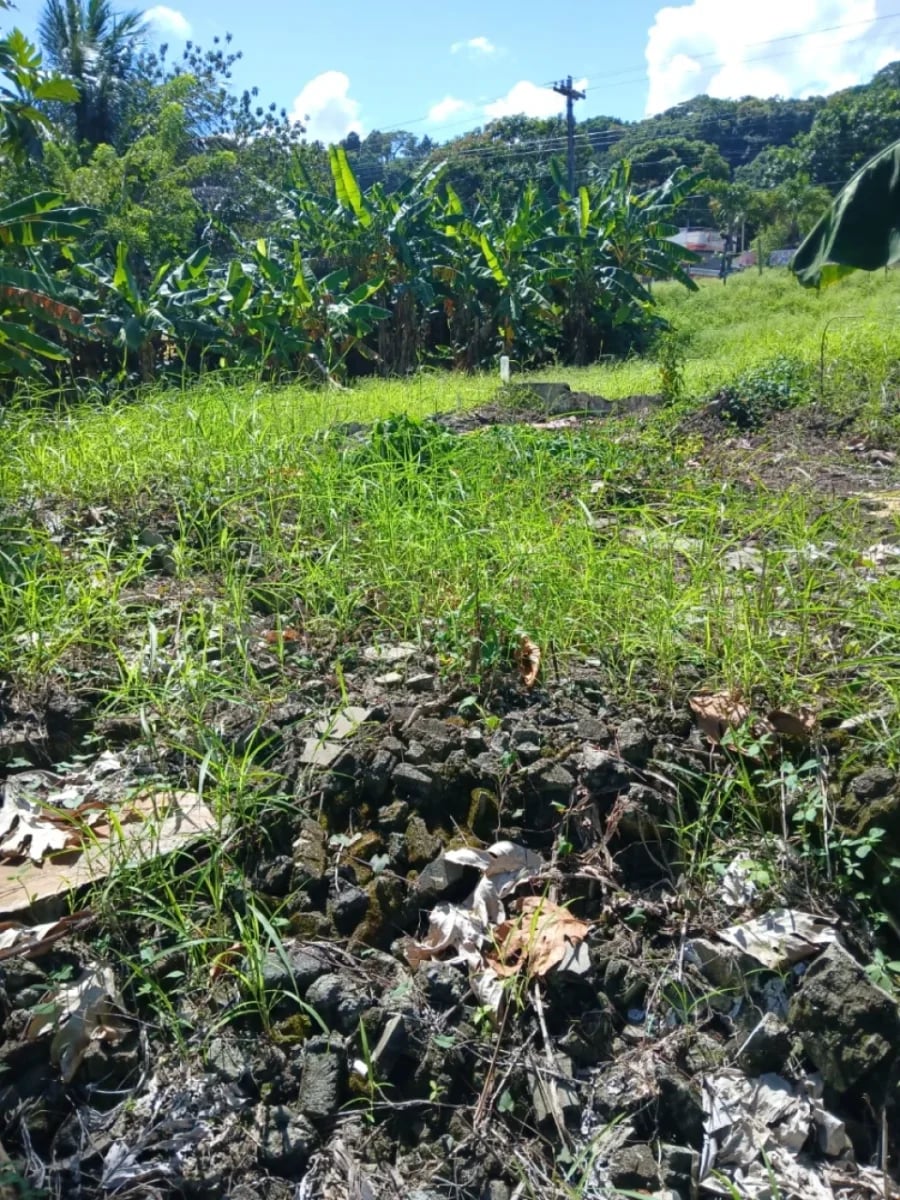 Terreno en venta en Cabrera, Abreu – foto 4