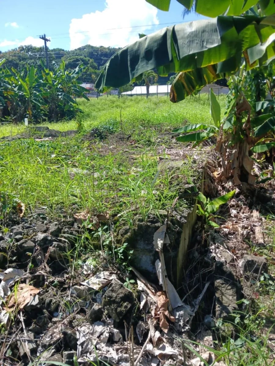 Terreno en venta en Cabrera, Abreu – foto 3
