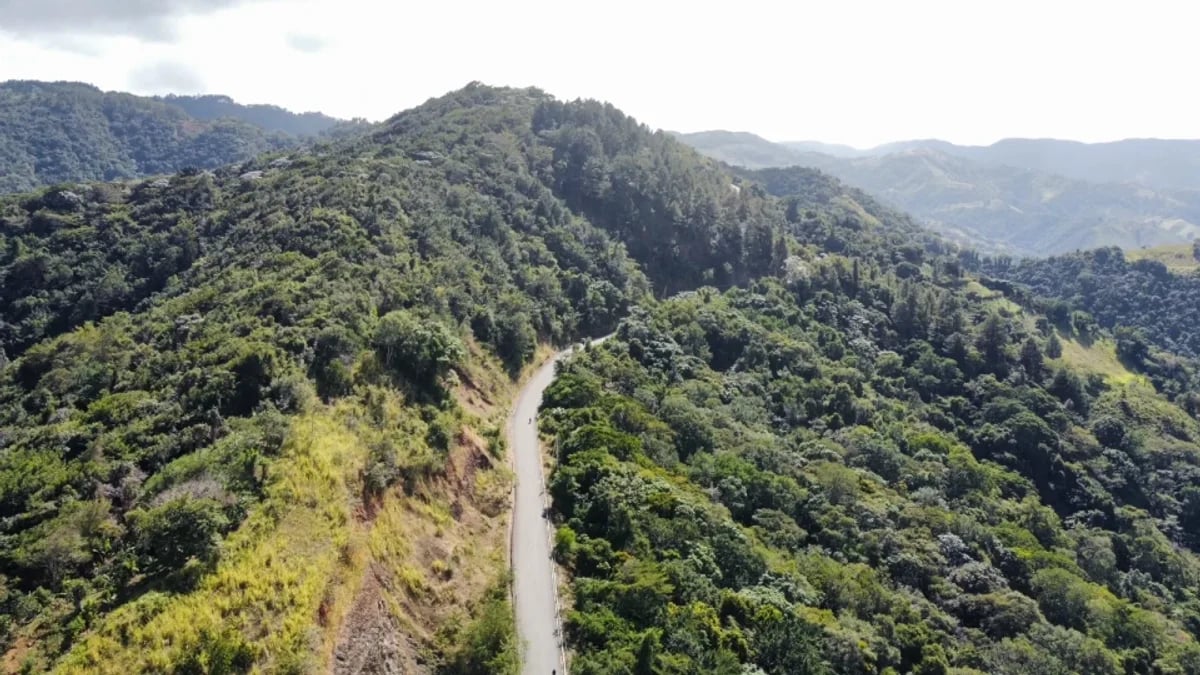 Terreno en Venta en La Ciénaga, San José de Ocoa – foto 6