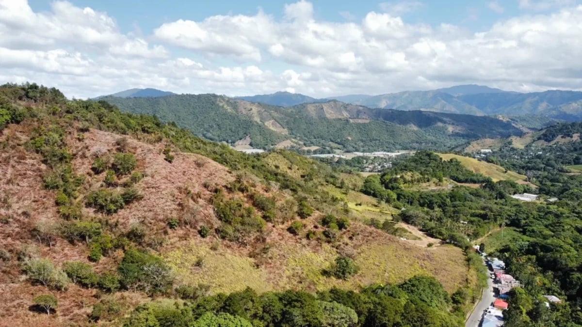 Terreno en Venta en La Ciénaga, San José de Ocoa – foto 2