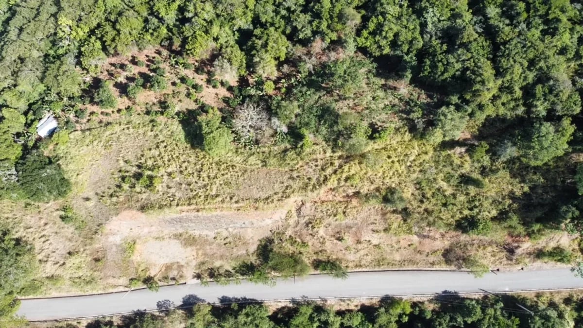 Terreno en Venta en La Ciénaga, San José de Ocoa – foto 3