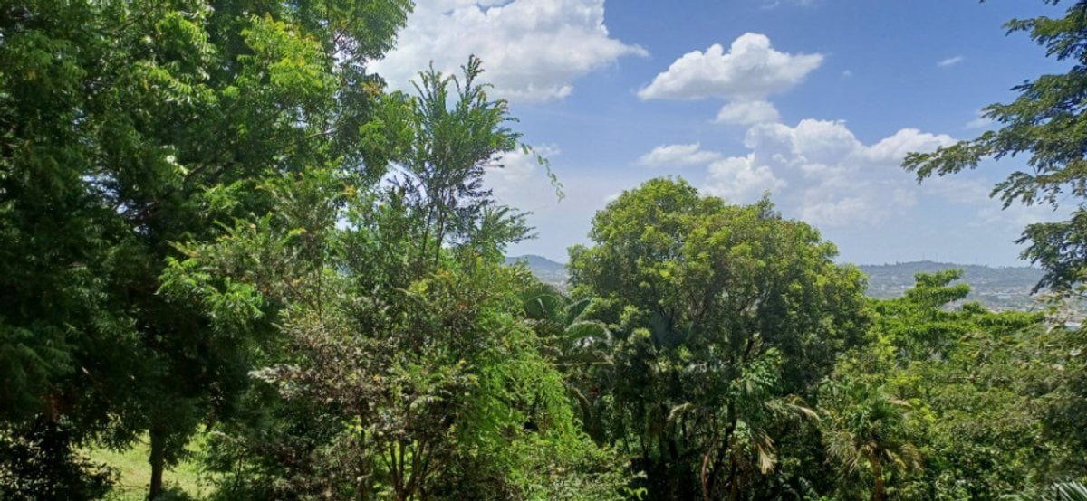 Terreno En Hatillo, San Cristóbal – foto 2
