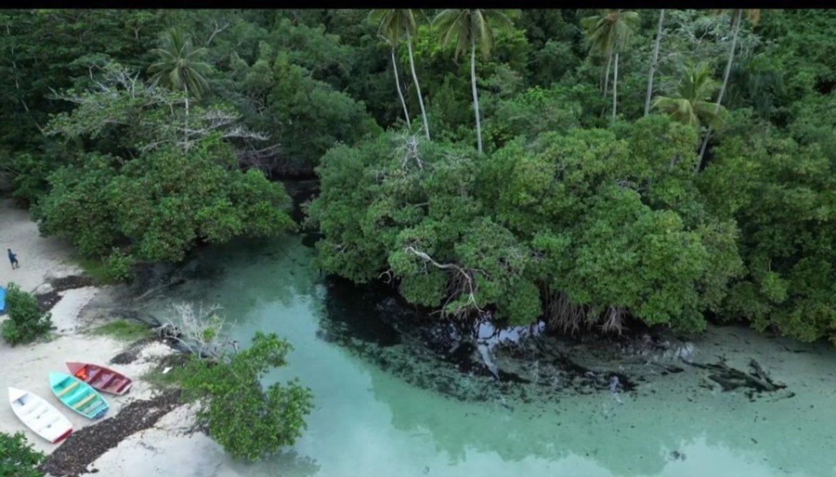rreno en Rincon Samana – foto 5