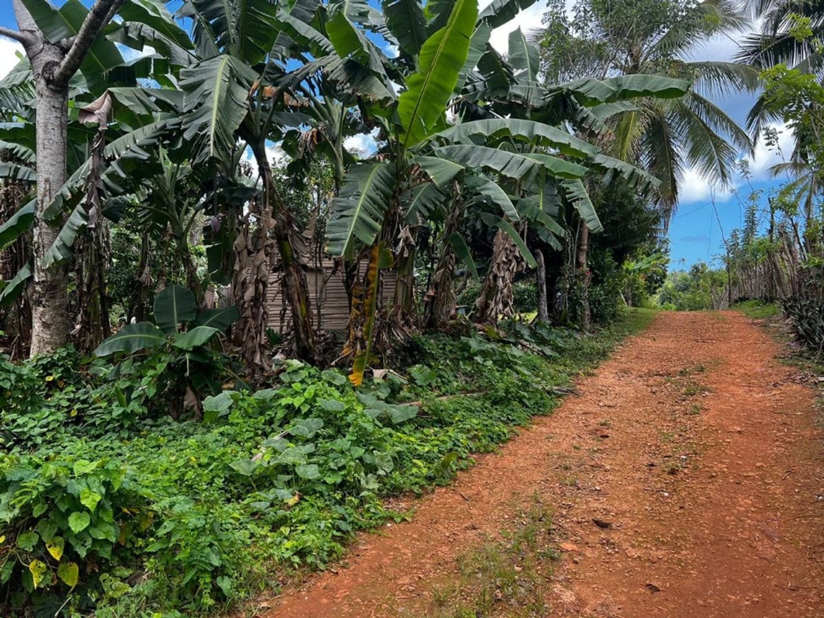 rreno en Rincon Samana – foto 1