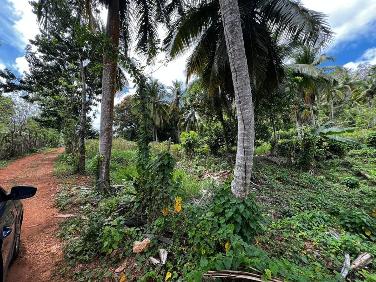 rreno en Rincon Samana – foto 4