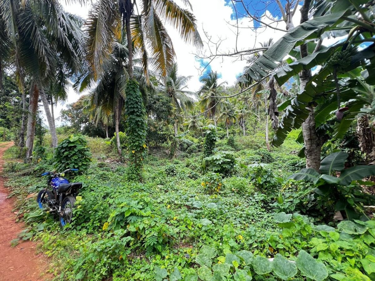 rreno en Rincon Samana – foto 2